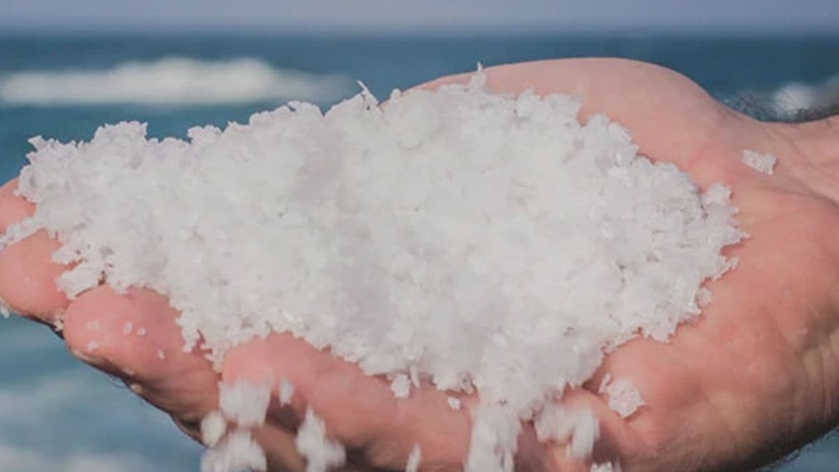 Sea salt