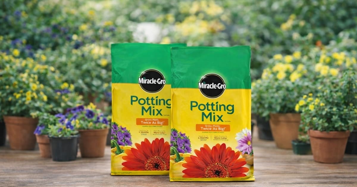"Two bags of Miracle-Gro Potting Mix with vibrant flowers in the background, showcasing the product's promise of growing plants twice as big and providing more color for container gardening."